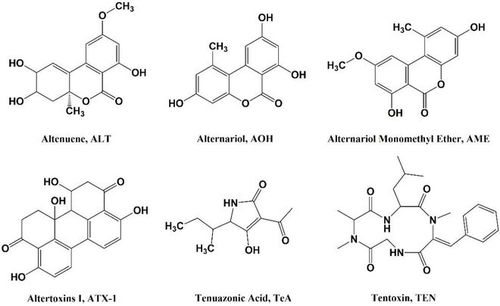 新疆農業大學夏利寧教授團隊提出反芻動物飼料中新興霉菌毒素污染物的防控技術