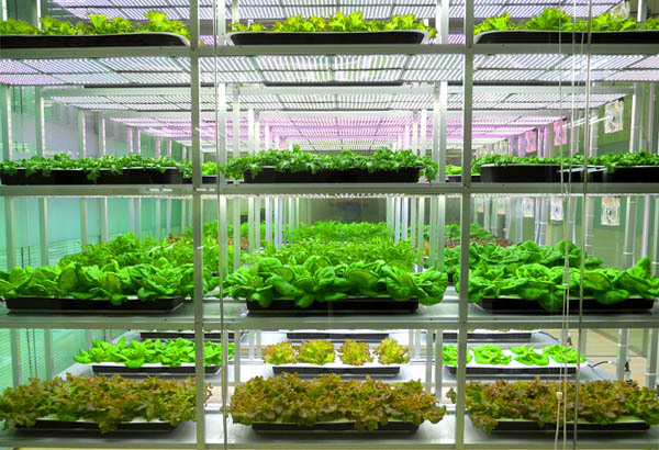 聚云位智攜手農(nóng)業(yè)大學(xué)共建實驗室，智慧農(nóng)業(yè)邁入新階段