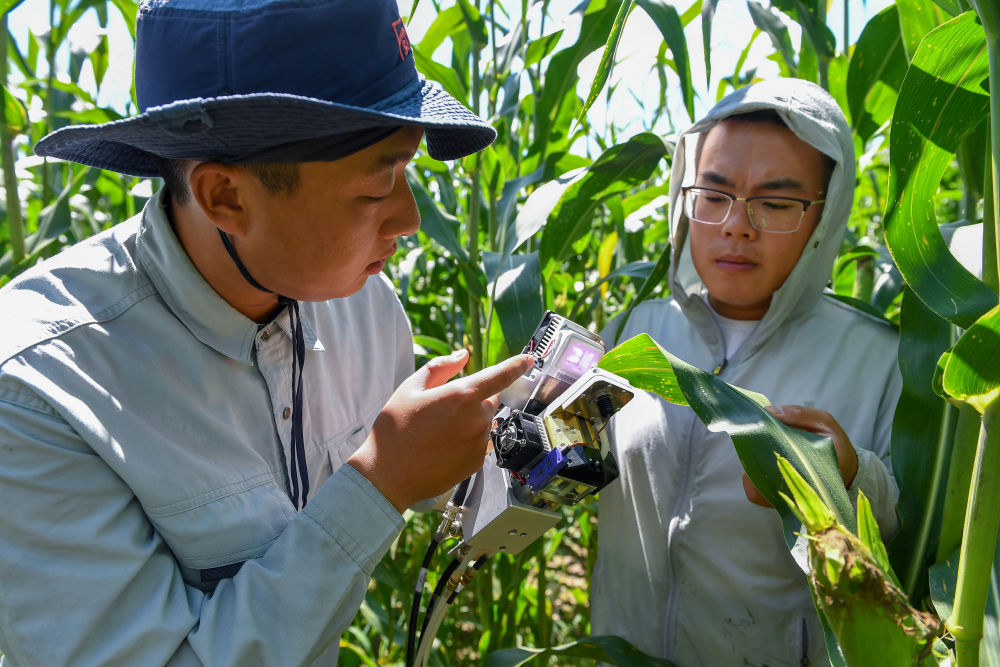 科技賦能中國農(nóng)民的豐收年 農(nóng)業(yè)科學(xué)研究的試驗發(fā)展