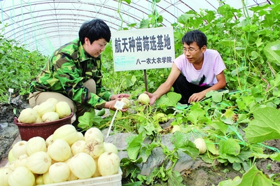 十三五開局之年 經(jīng)濟(jì)社會(huì)發(fā)展平穩(wěn)，農(nóng)業(yè)科研試驗(yàn)發(fā)展邁出新步伐