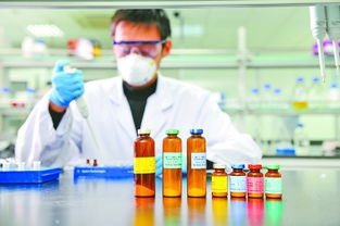 浙江、江蘇、深圳實(shí)施創(chuàng)新驅(qū)動(dòng)發(fā)展戰(zhàn)略的探索與啟示——以農(nóng)業(yè)科學(xué)研究和試驗(yàn)發(fā)展為例